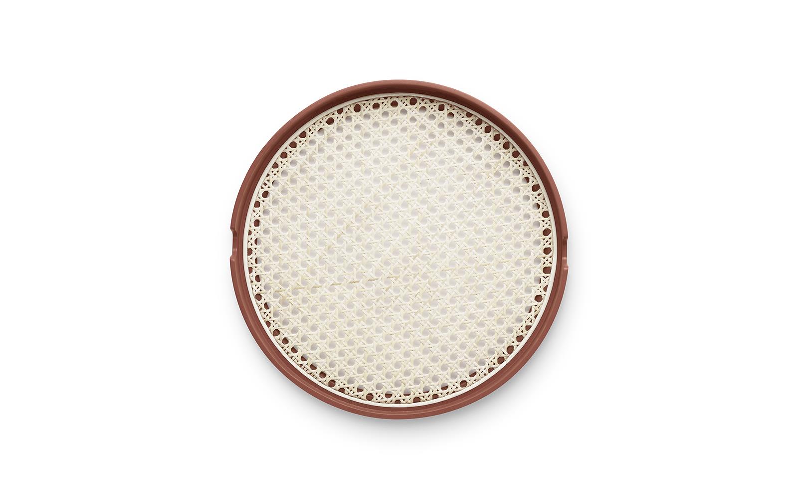 Salon Tray 352