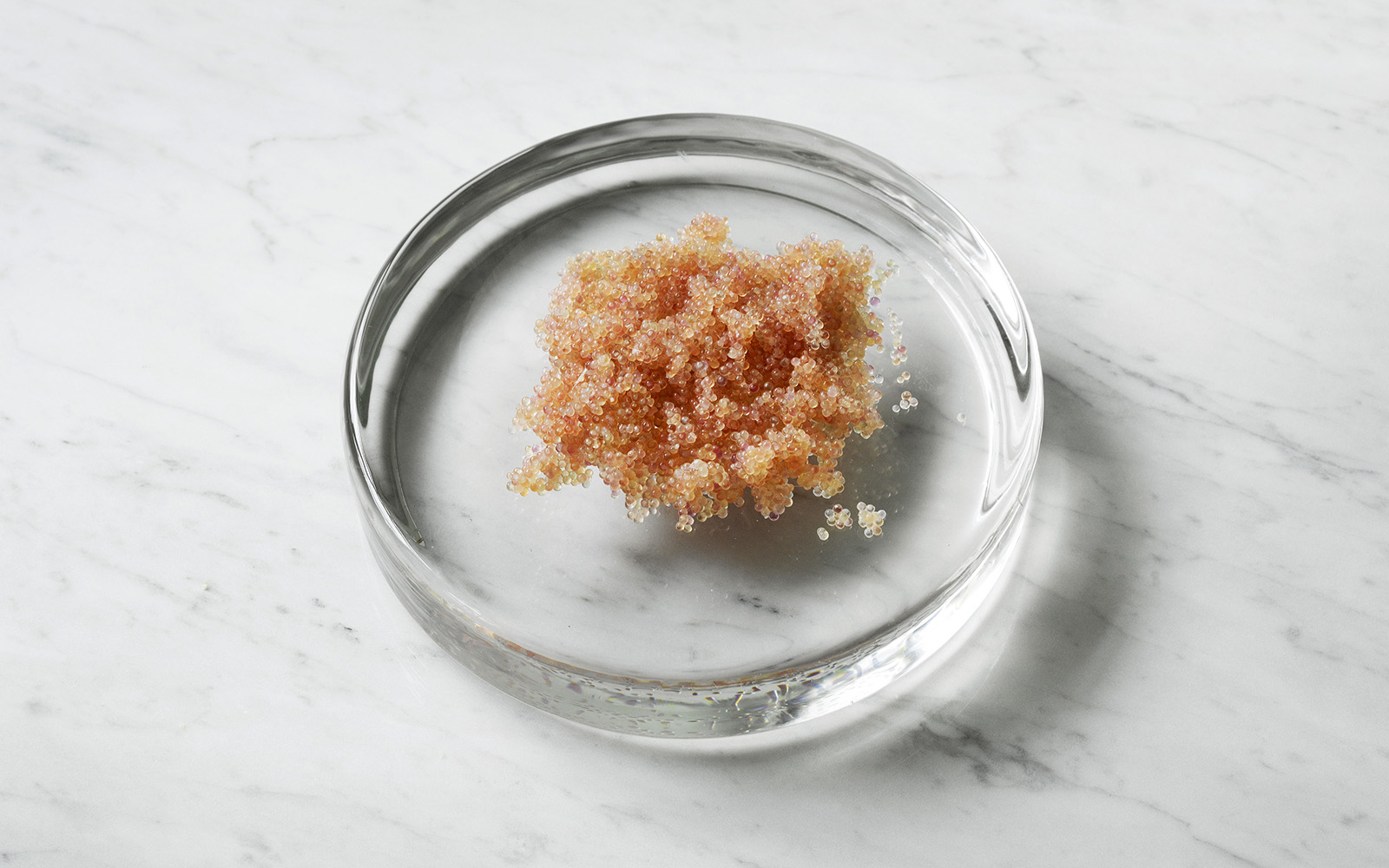 Mass dish Normann Copenhagen