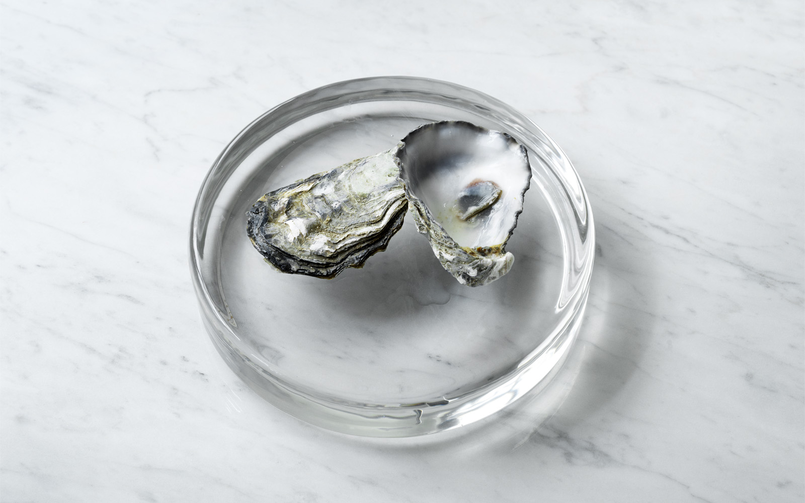 Mass dish Normann Copenhagen