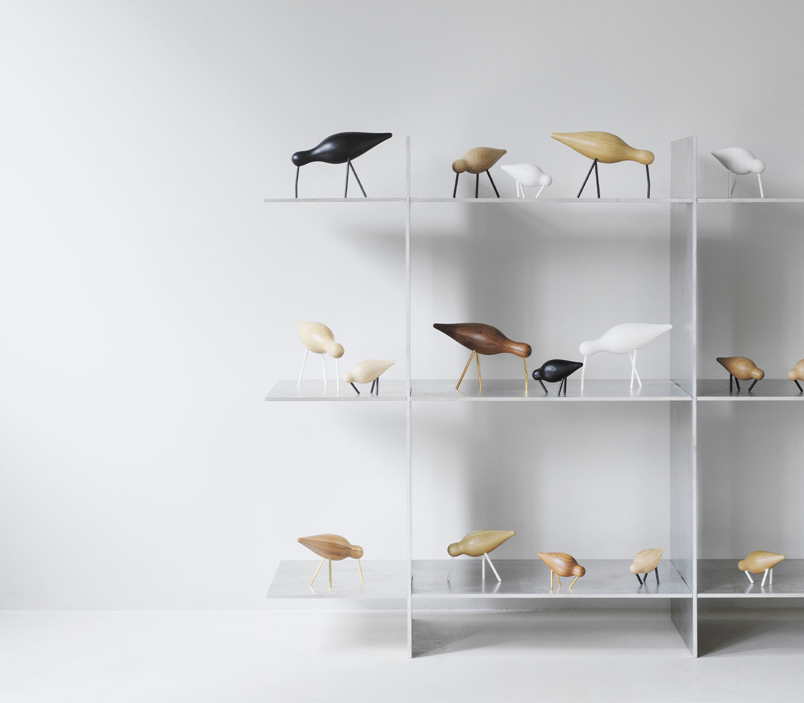 Shorebirds Normann Copenhagen